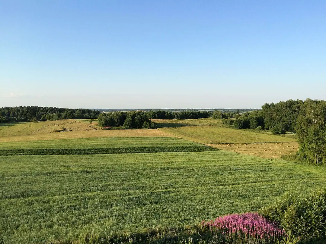 Aukštojas – Höchster Punkt Litauens