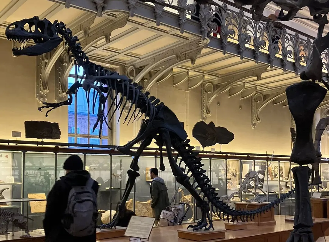 Galerie de Paléontologie et d'Anatomie comparée