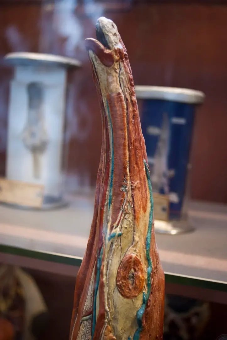 Galerie de Paléontologie et d'Anatomie comparée