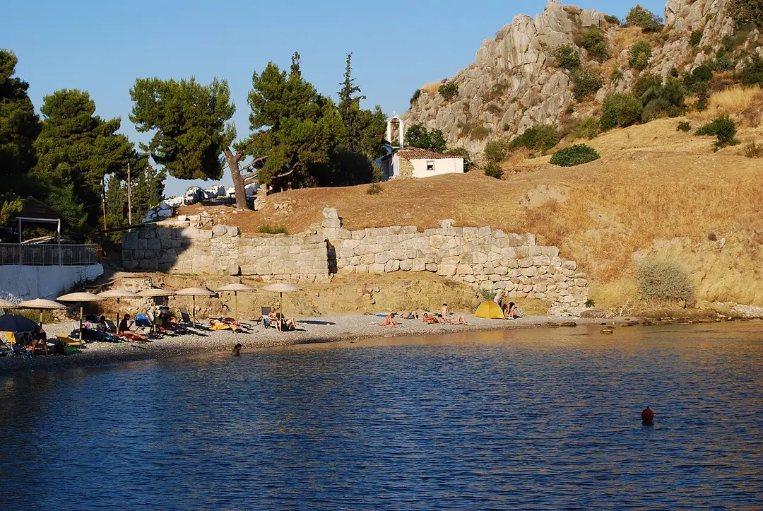 Asine