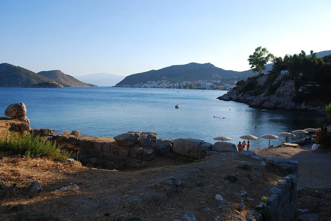 Asine