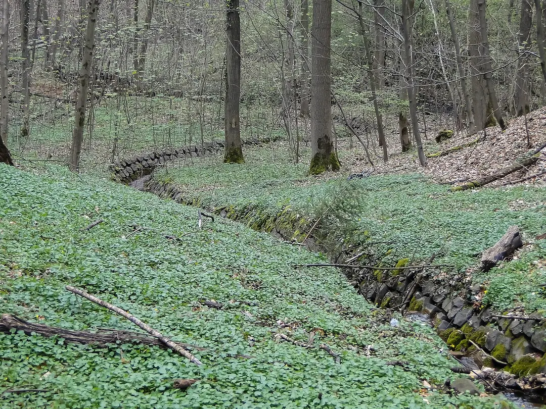 Ankerbach