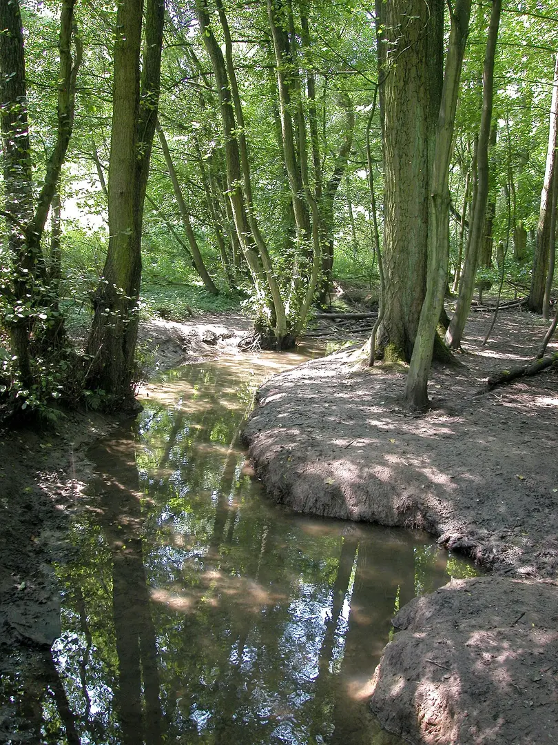 Rumbachtal, Gothenbach, Schlippenbach