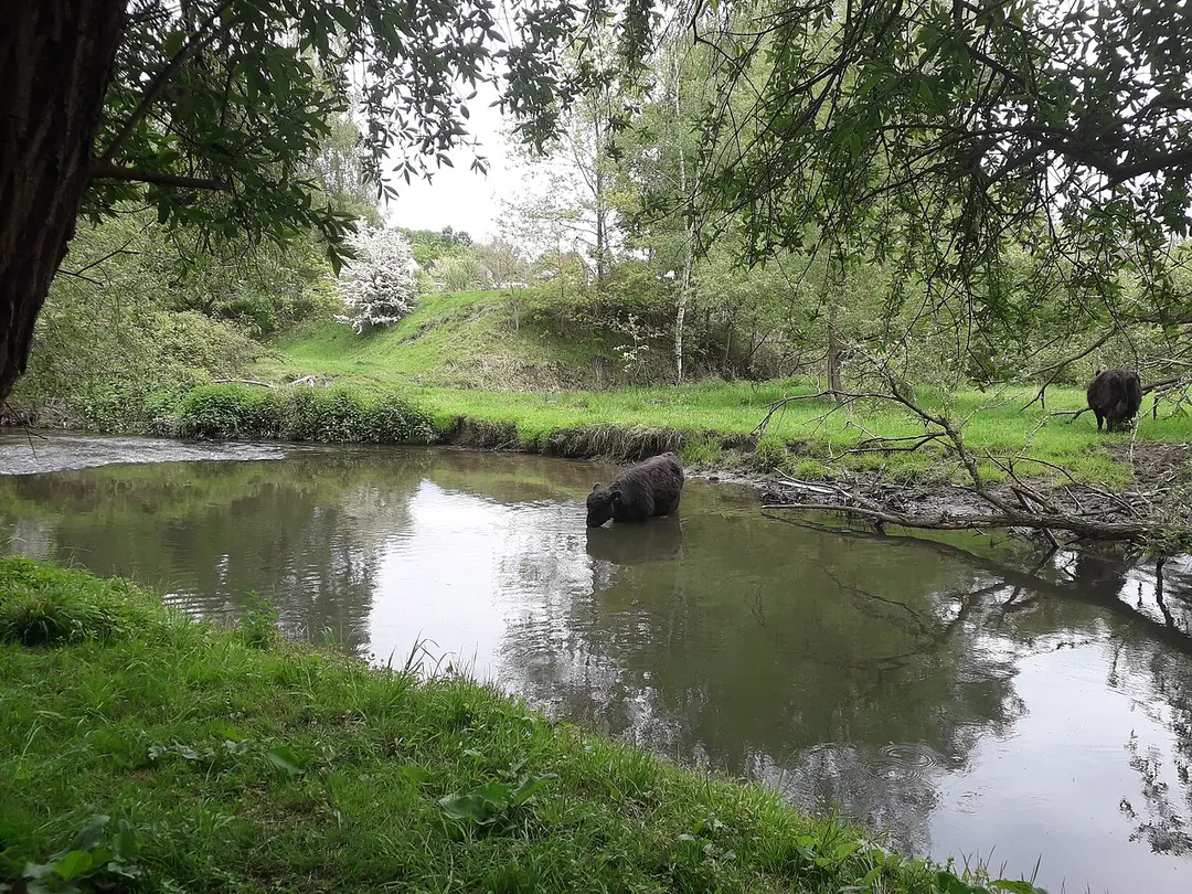 Wurmtal nördlich Herzogenrath