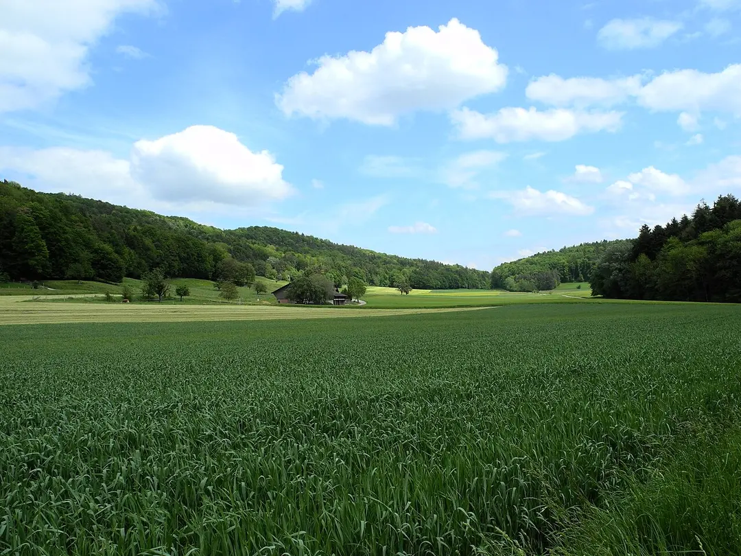 Altberg