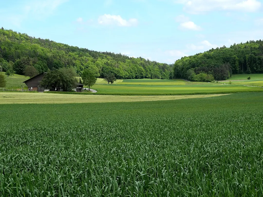 Altberg