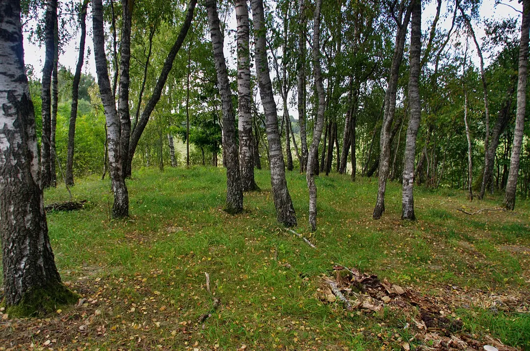 Jasiuliškių piliakalnis