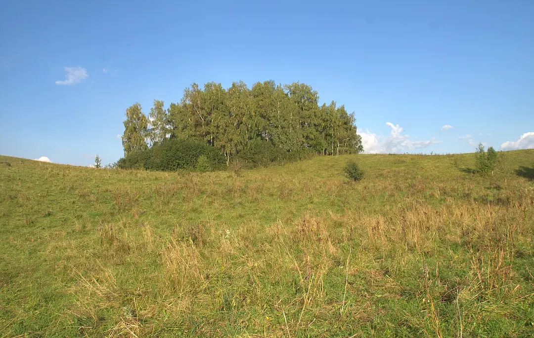 Jasiuliškių piliakalnis