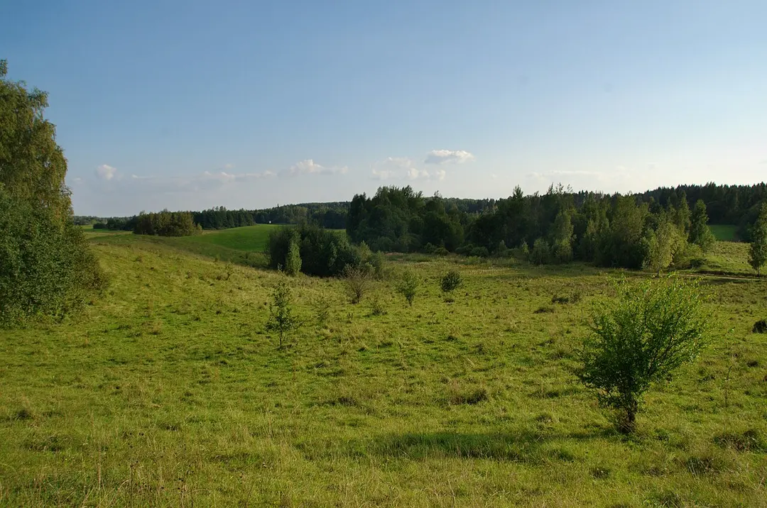 Jasiuliškių piliakalnis
