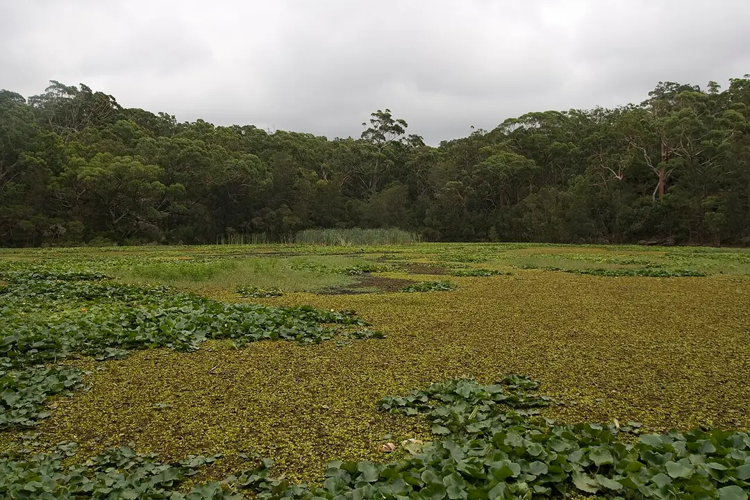 Georges River National Park