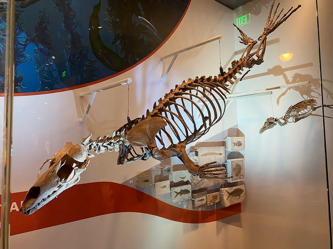 National Museum of Natural History