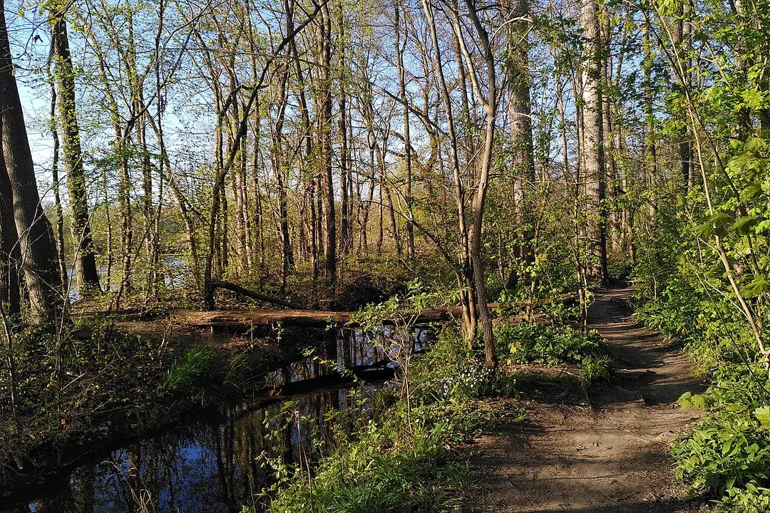 Burgauenbach