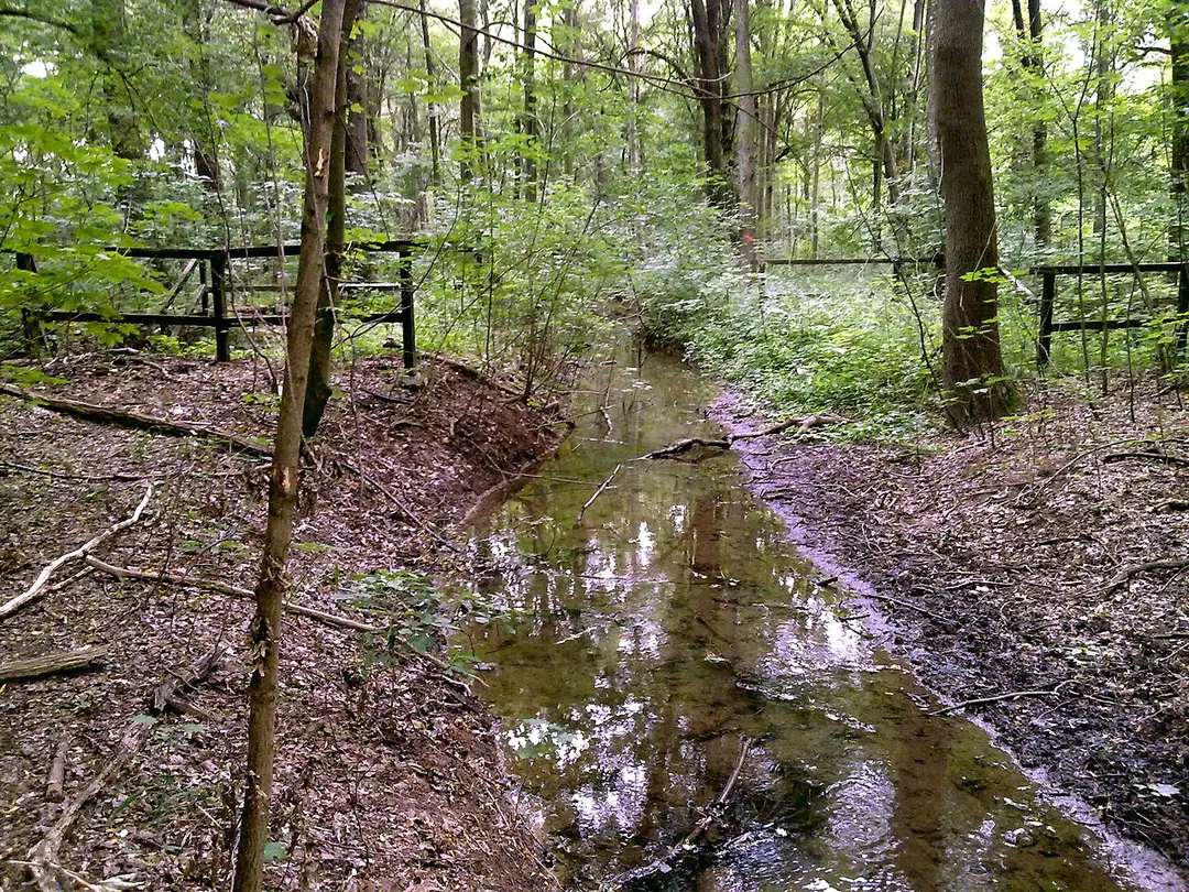 Burgauenbach