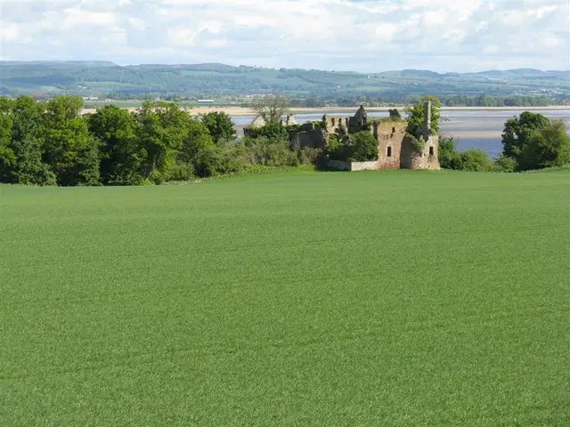 Ballinbreich Castle