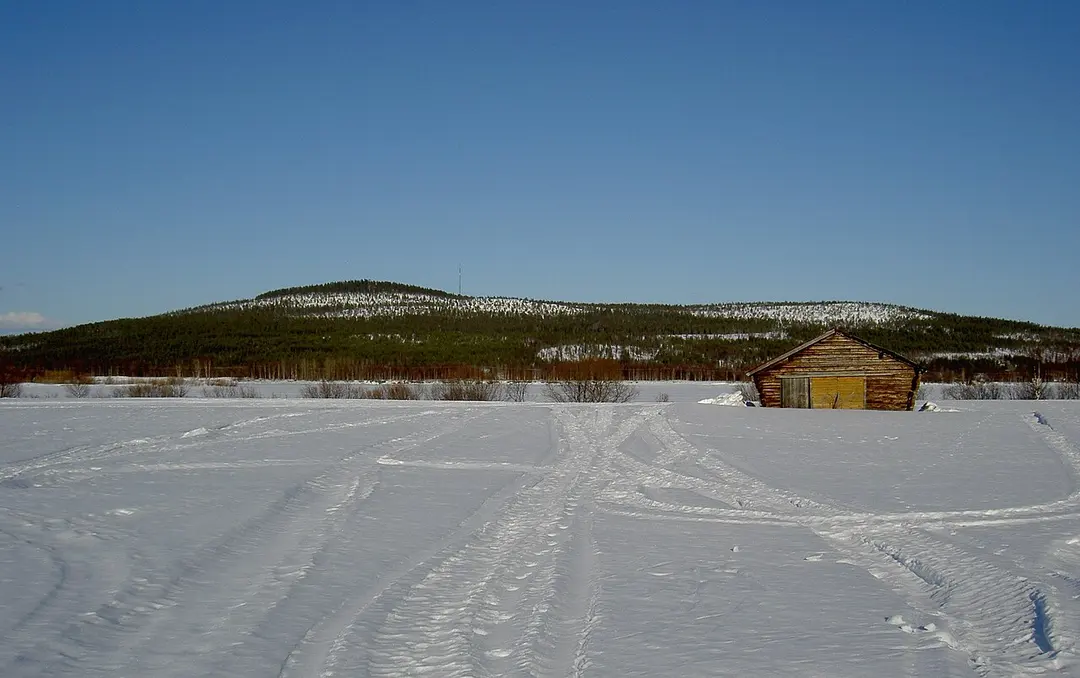 Aavasaksa