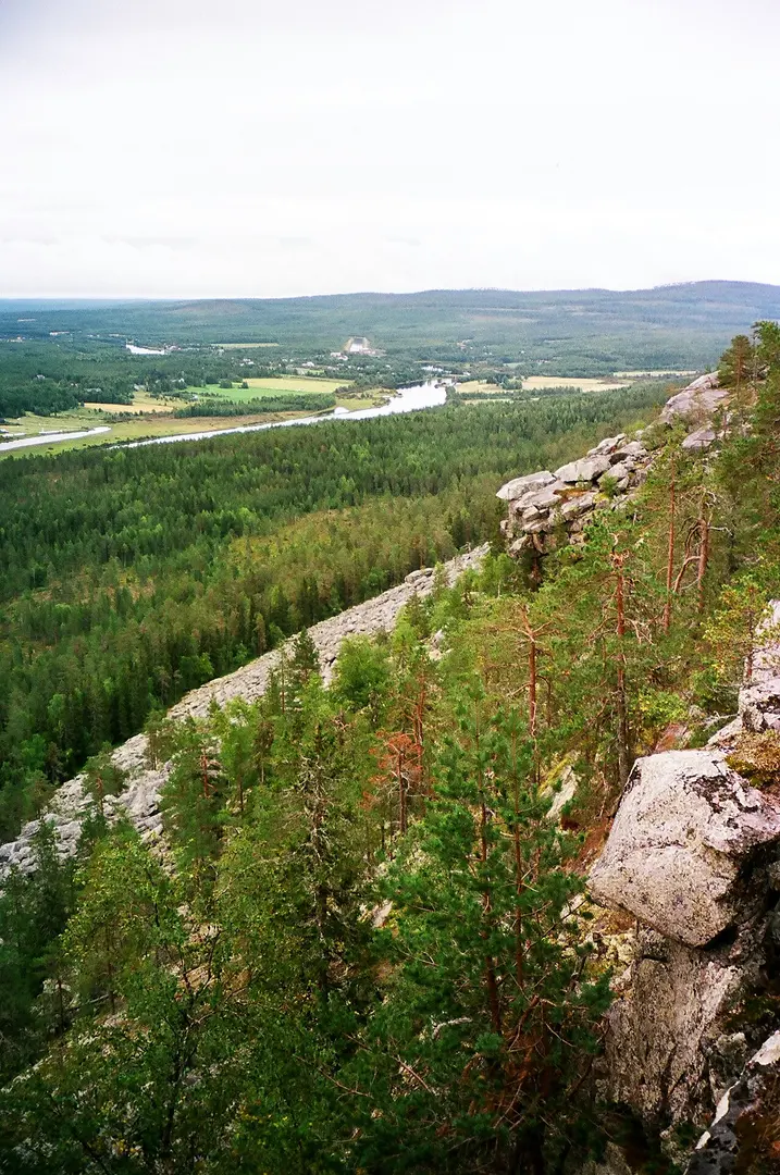 Aavasaksa