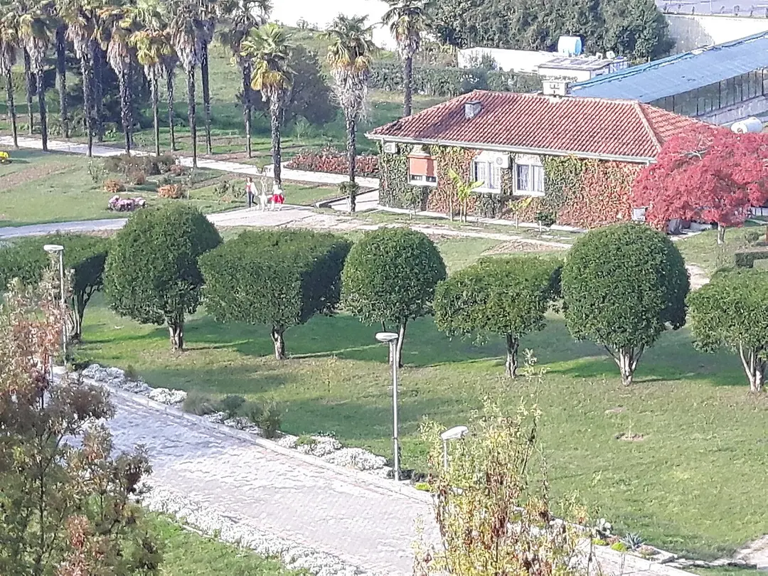 Botanischer Garten Tirana