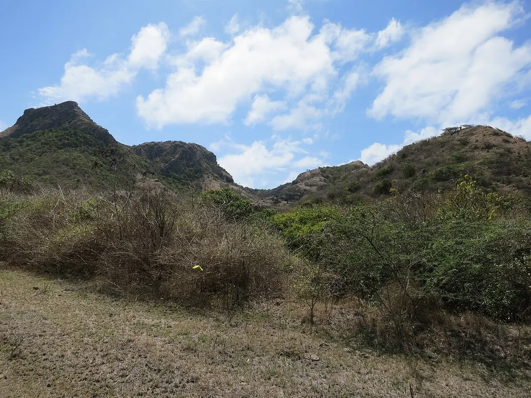 Boven National Park