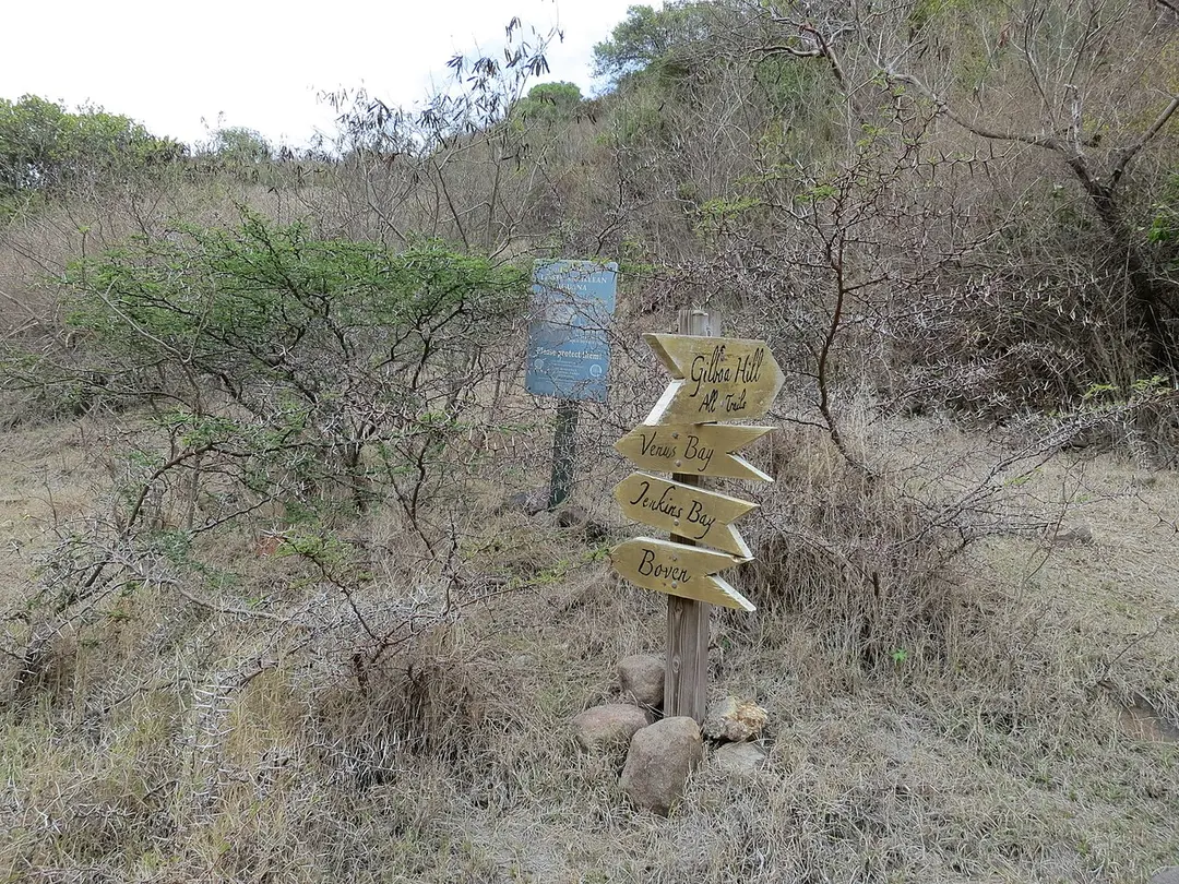 Boven National Park