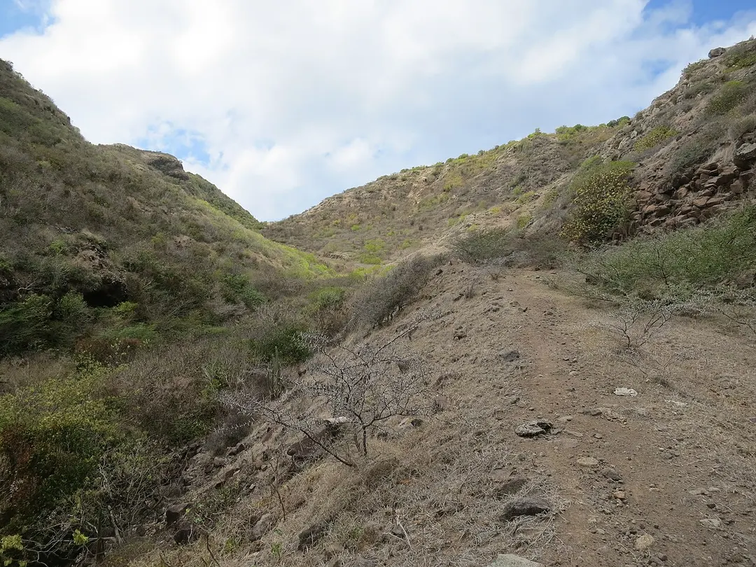 Boven National Park