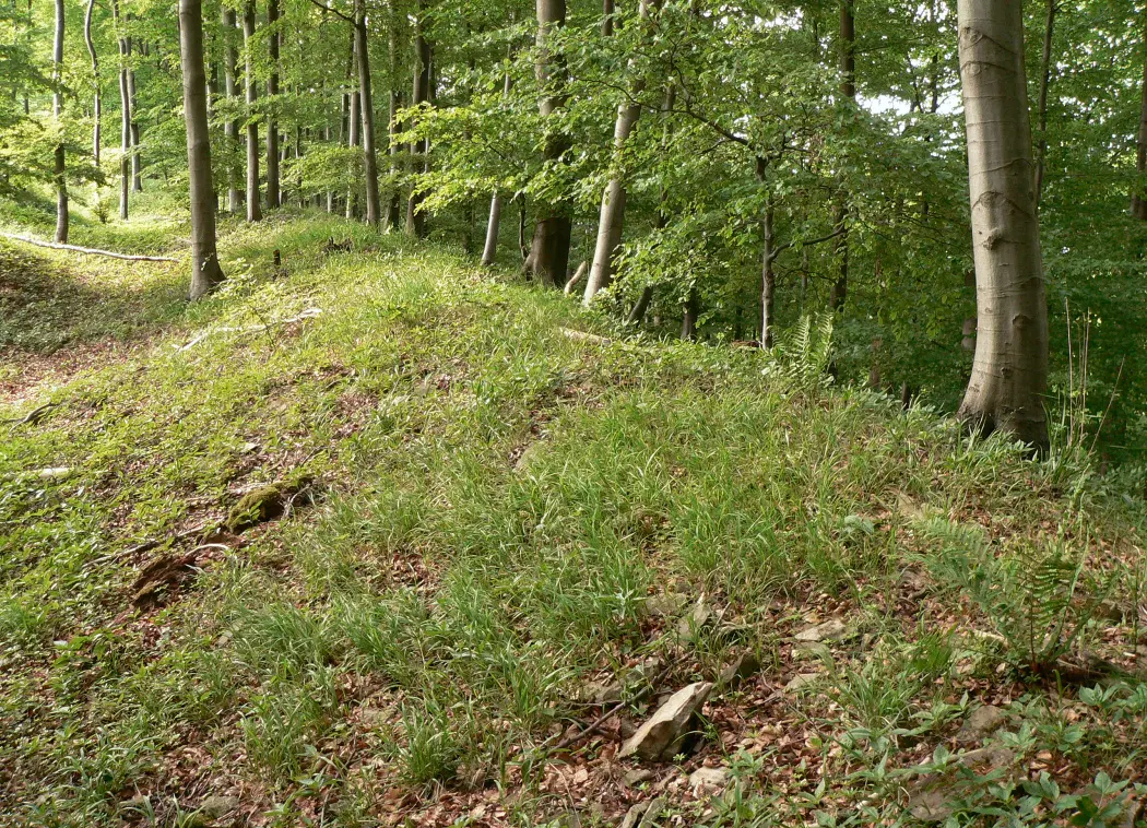 Amelungsburg