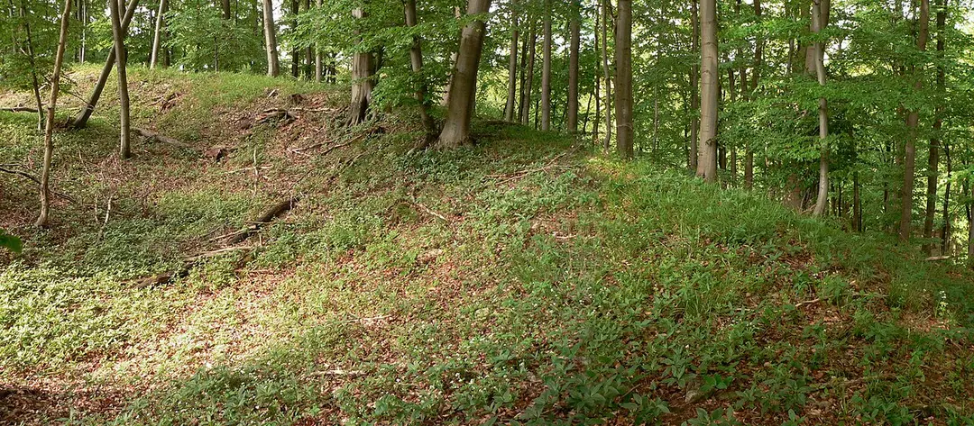 Amelungsburg