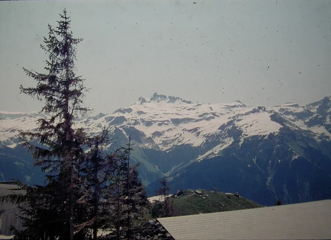 Braunwald