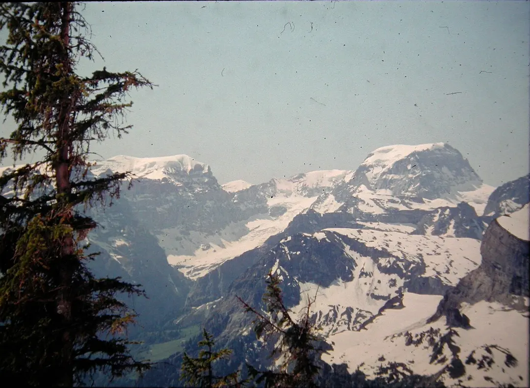 Braunwald