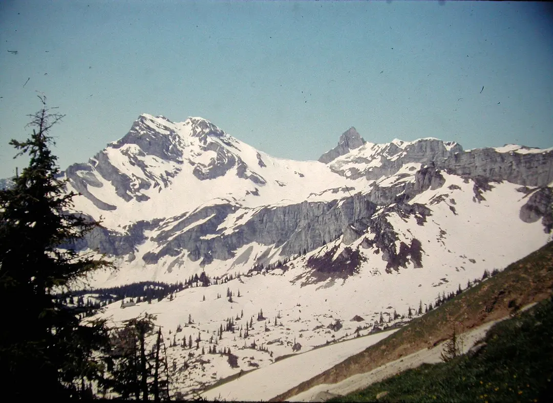 Braunwald
