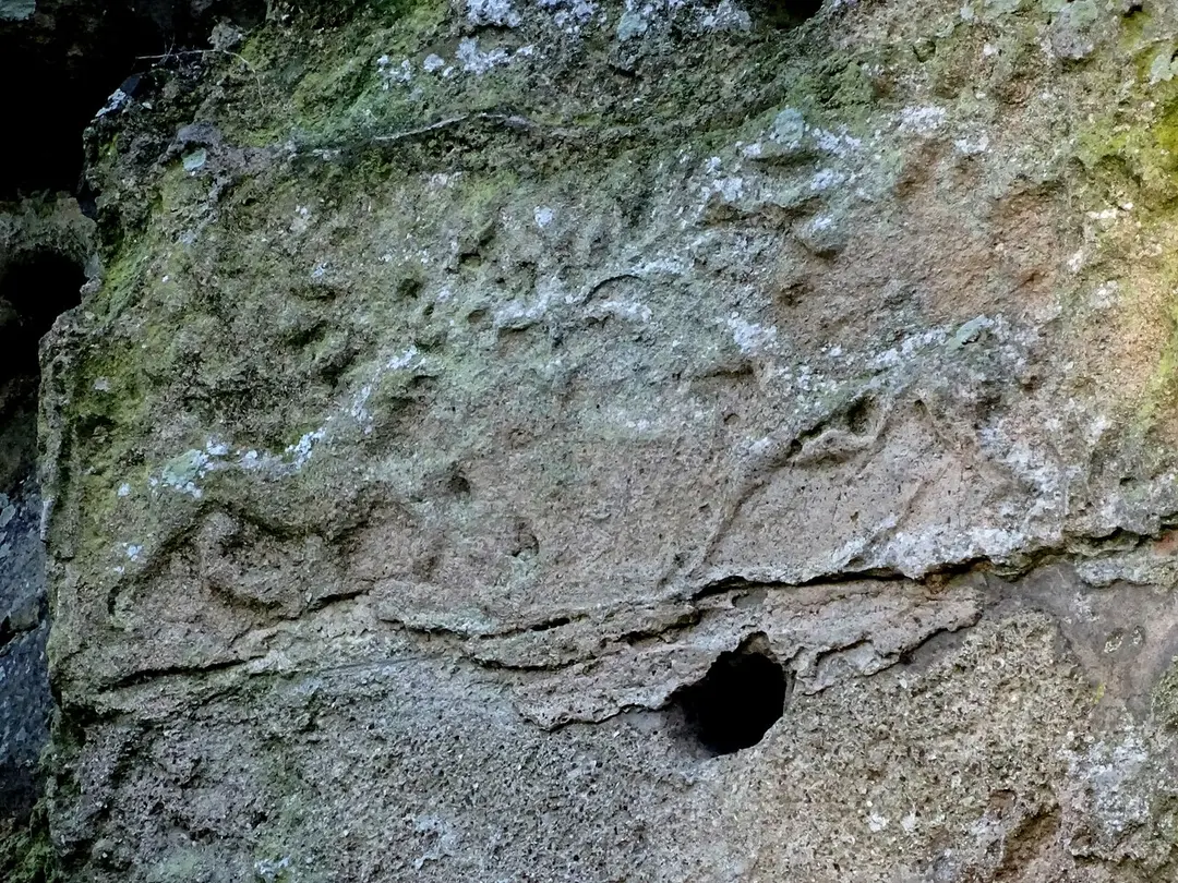 Auldhame Castle