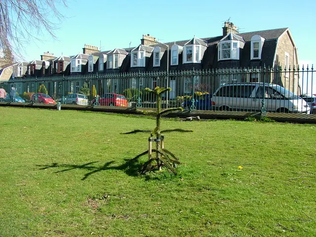 Baxter Park