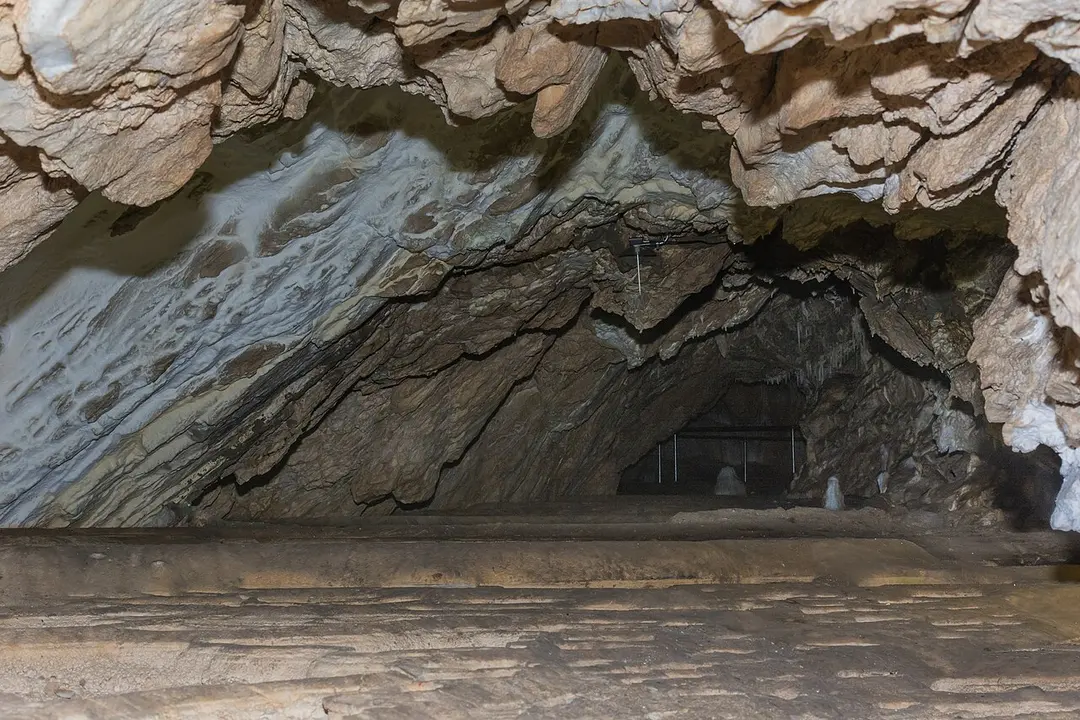 Bärenhöhle