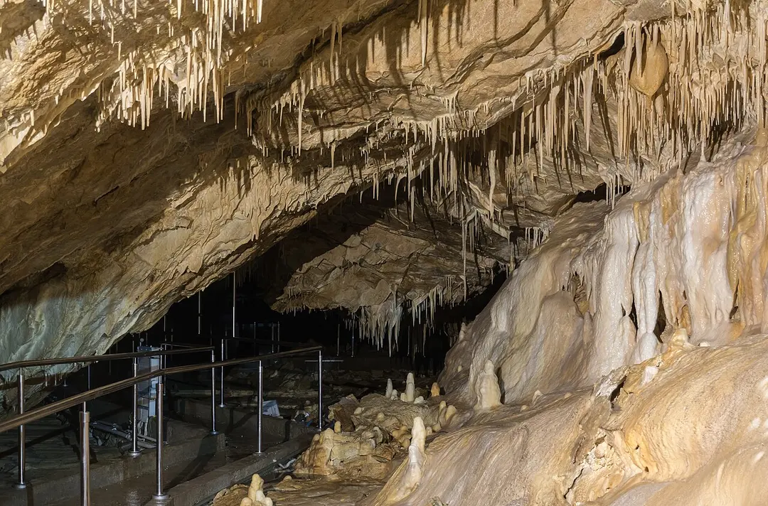 Bärenhöhle
