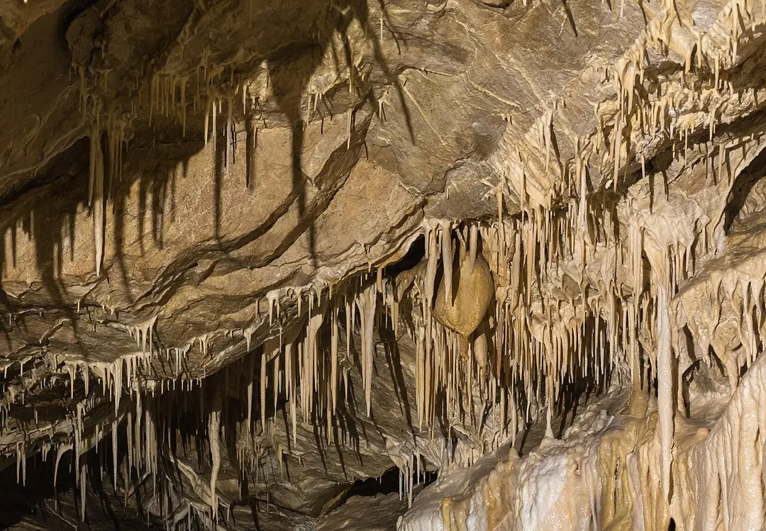 Bärenhöhle
