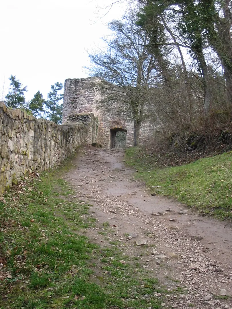 Altenbaumburg