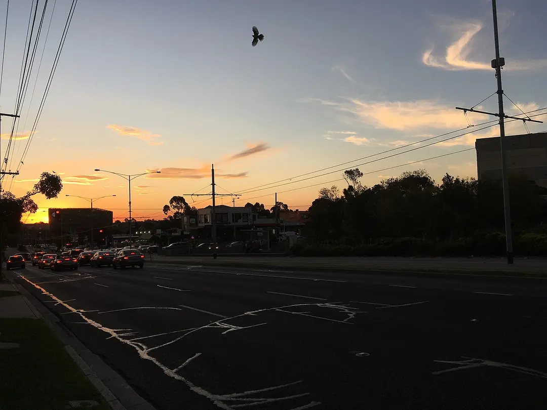 Burwood Highway