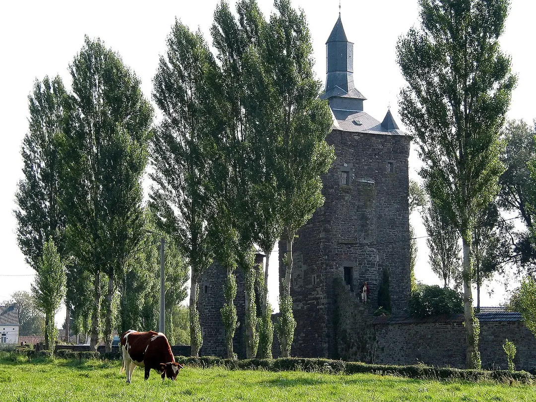 Château de Sombreffe