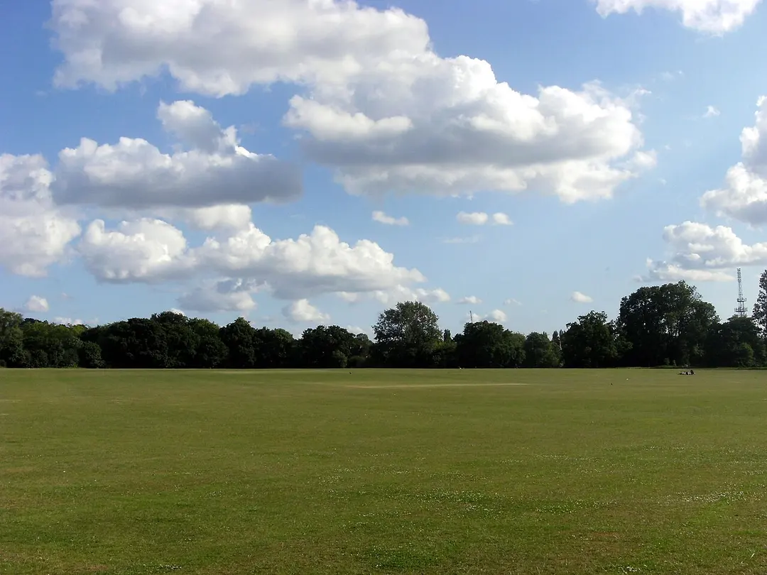 Hampstead Heath