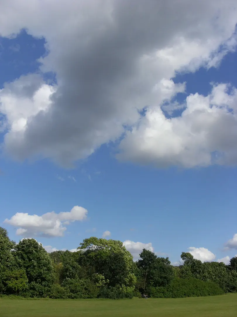 Hampstead Heath