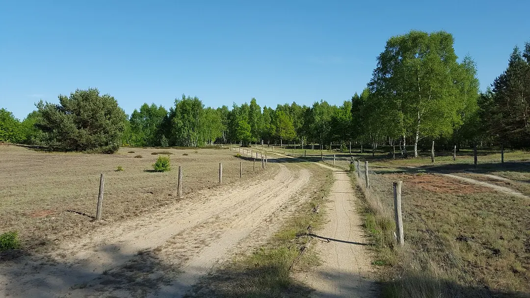 Döberitzer Heide