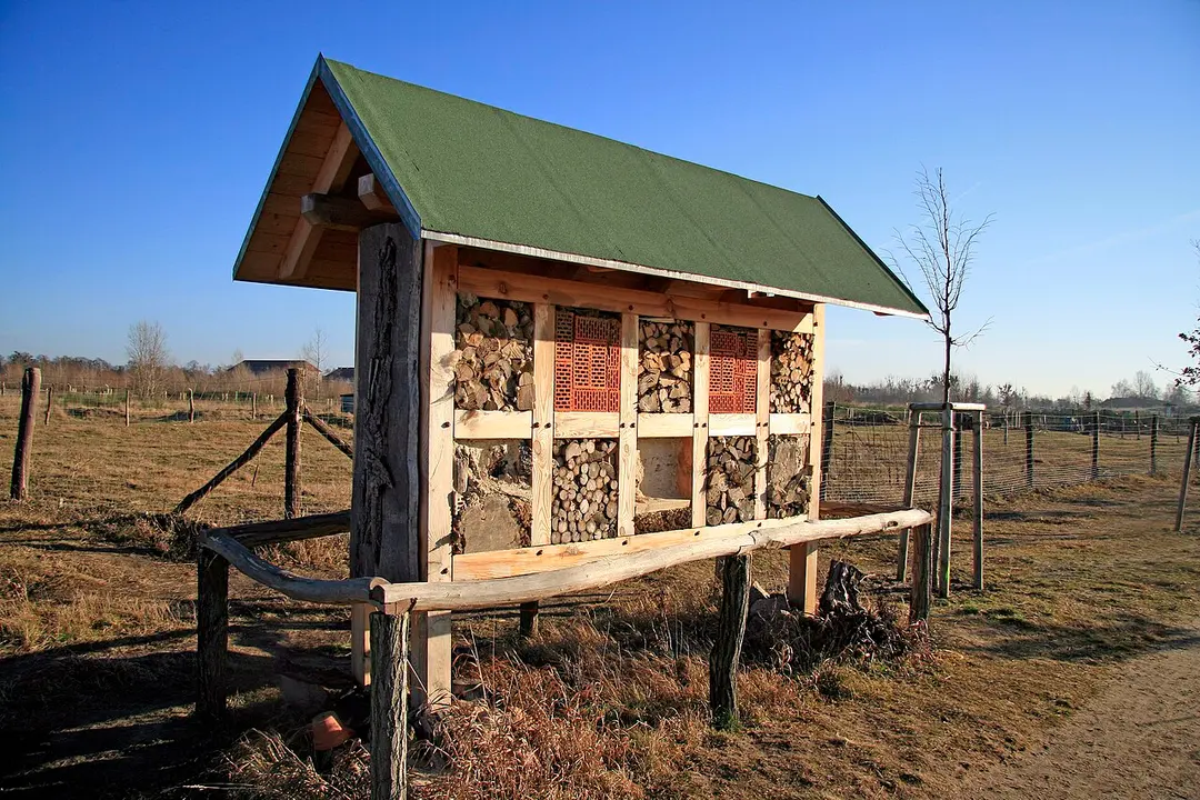 Döberitzer Heide