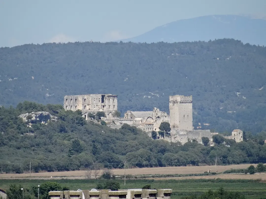 Abbaye de Montmajour