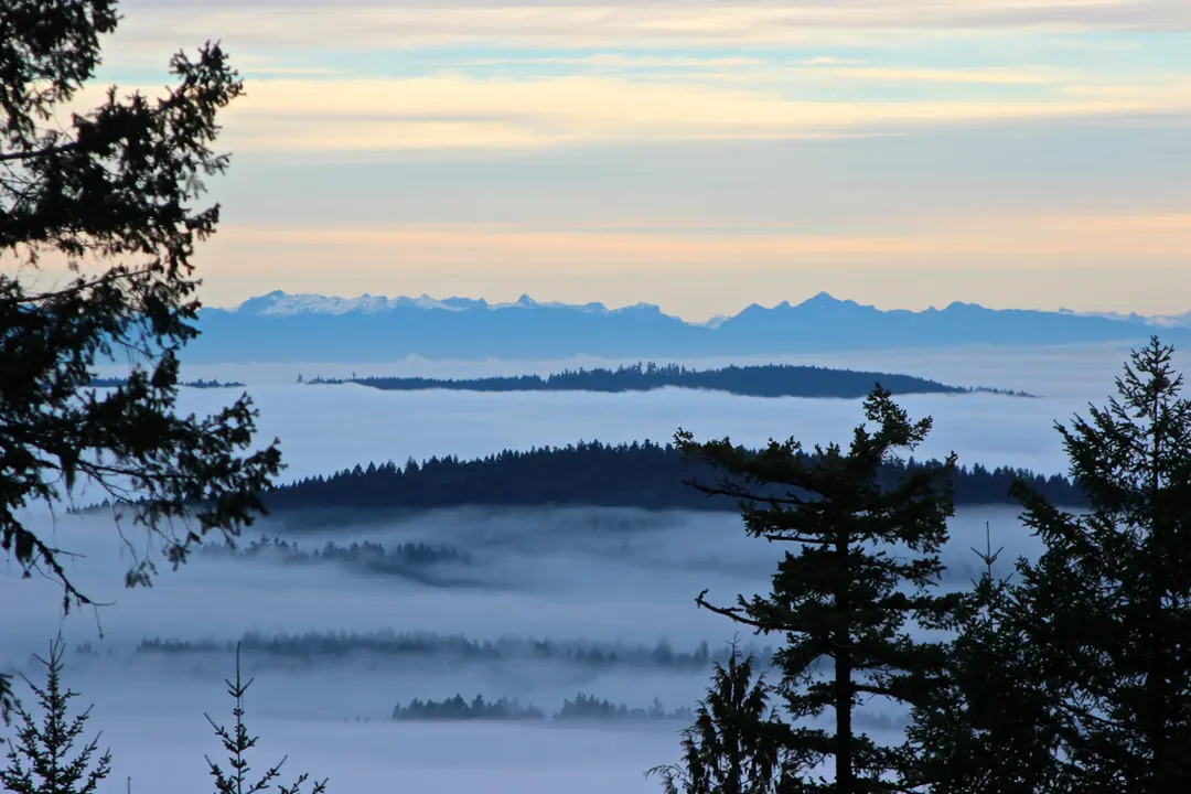 Bodega Ridge Provincial Park