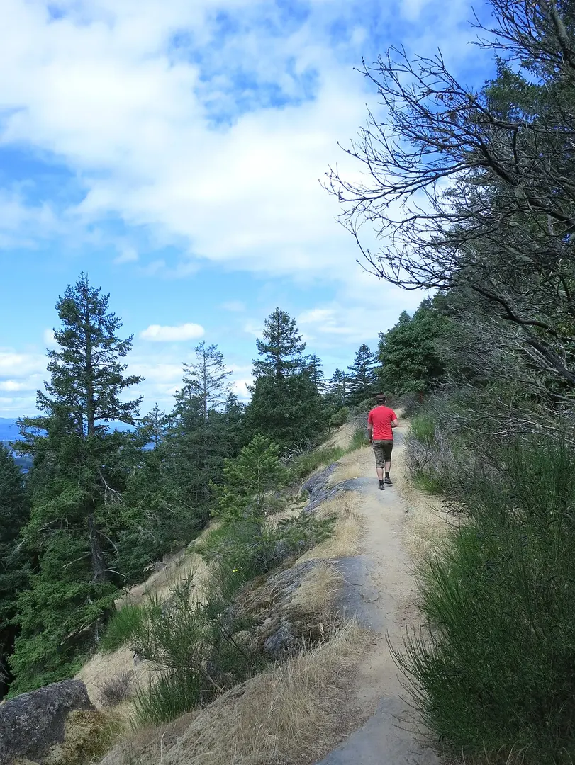 Bodega Ridge Provincial Park