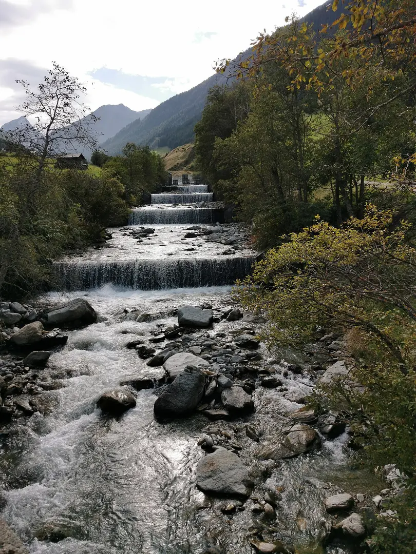 Melach
