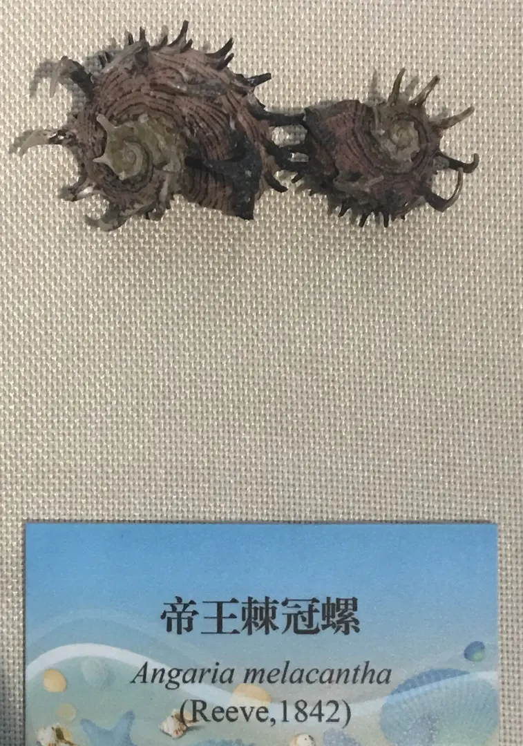 国家自然博物馆