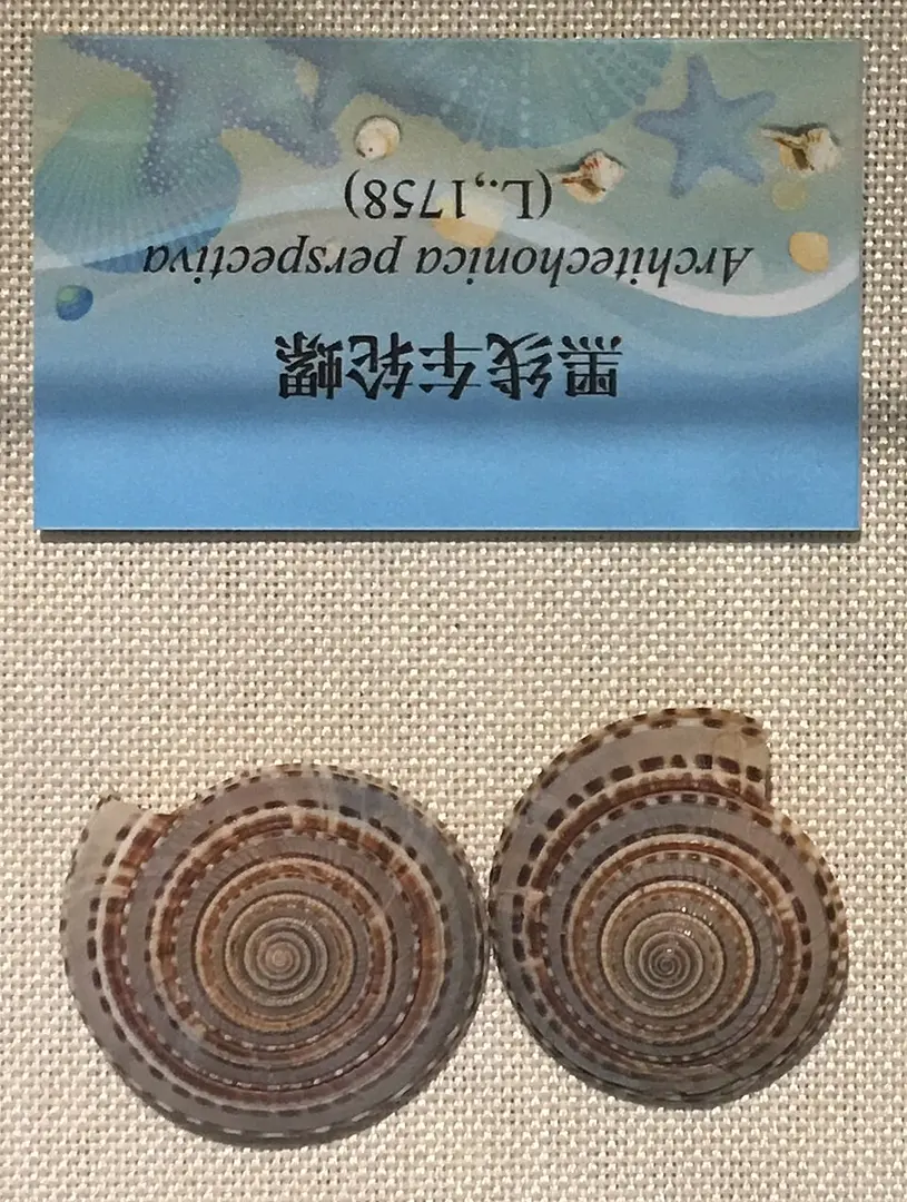 国家自然博物馆