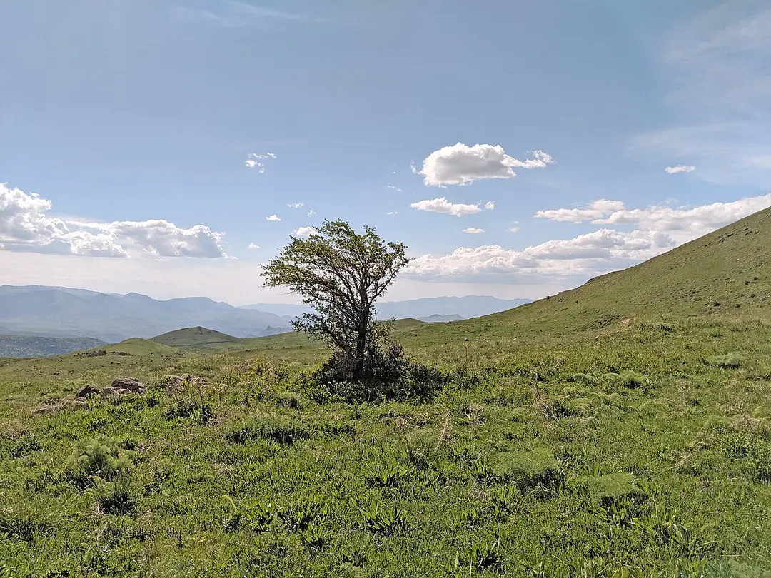 Ցեղասպանության զոհերի հուշահամալիր