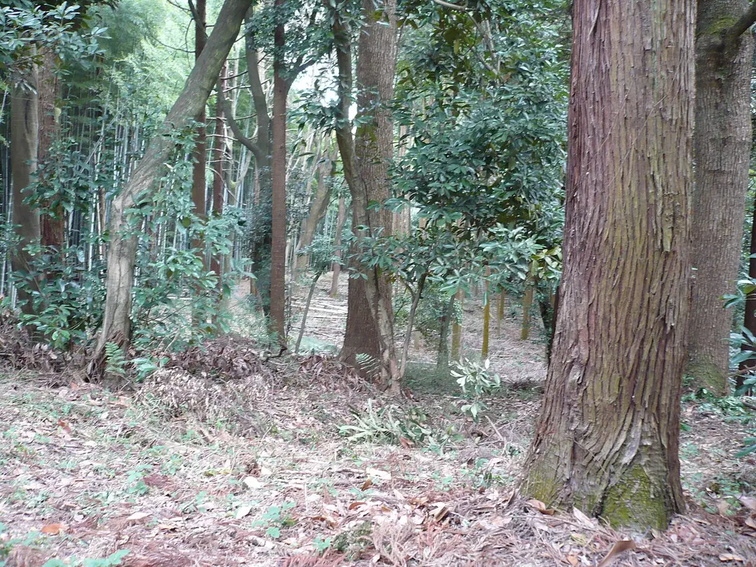 伏見城