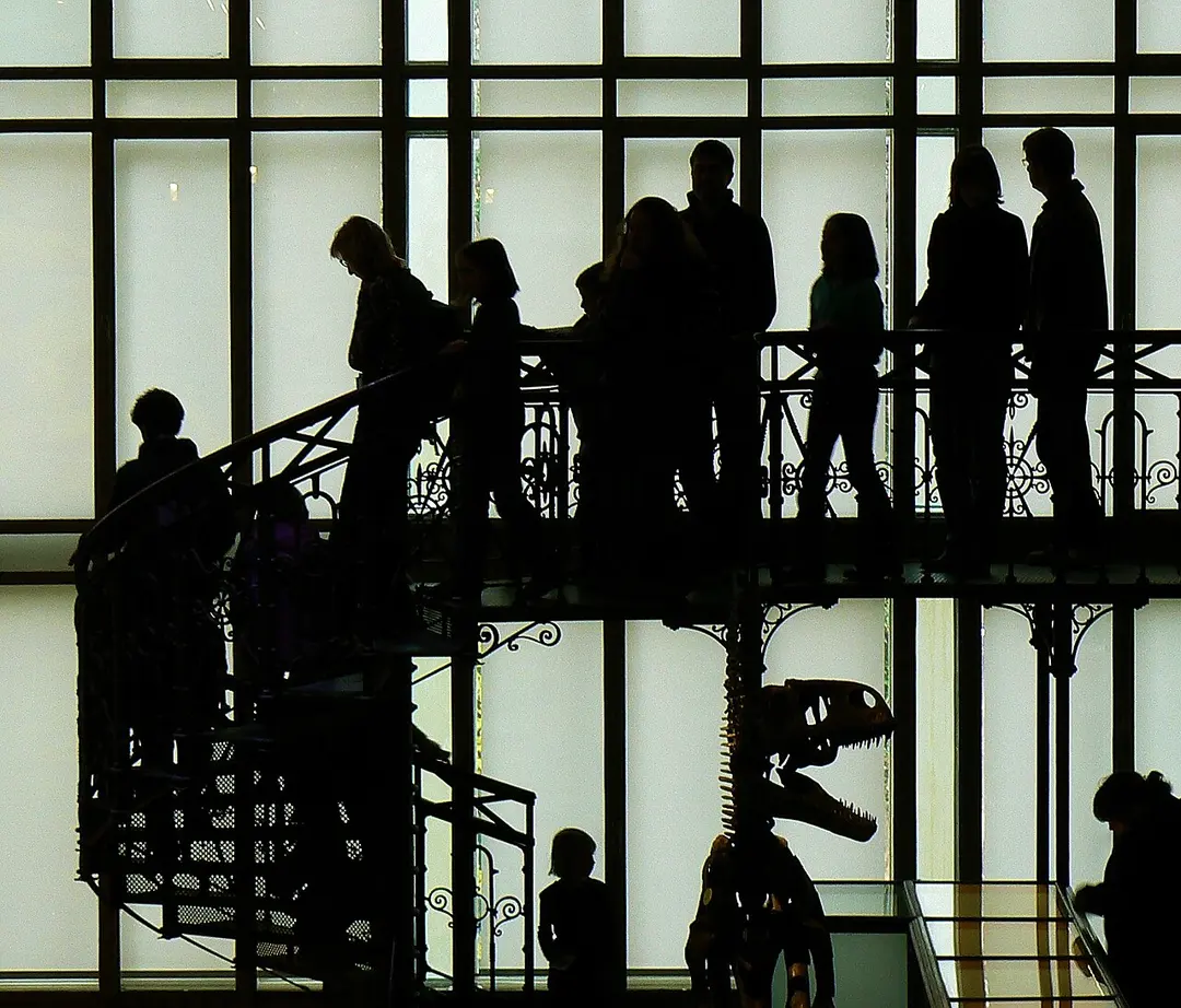 Naturwissenschaftliches Museum Belgien